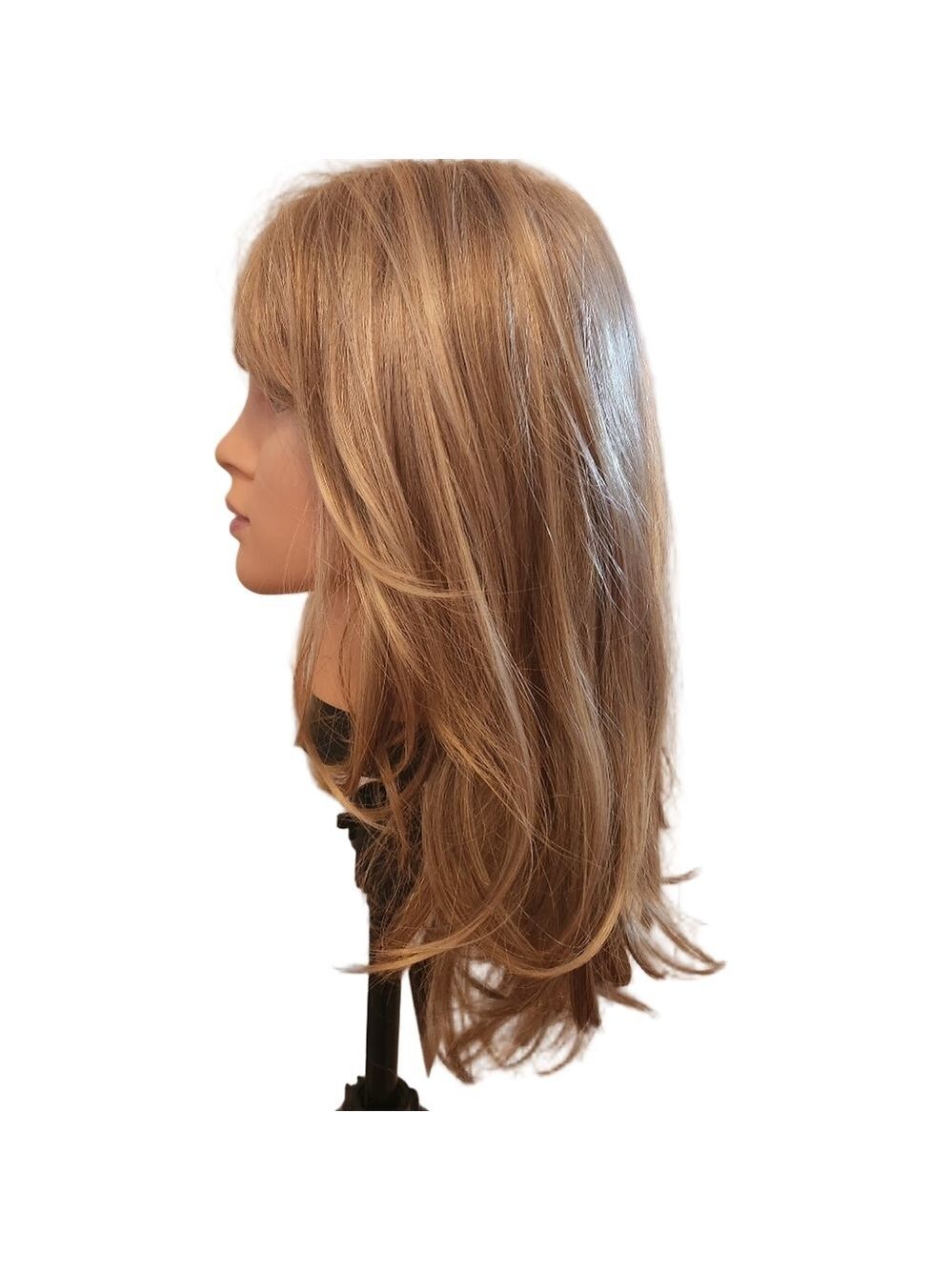 Jaclyn Smith Bridgette Wig #379310 14/26A Colorway Sunkissed Blonde Ash Golden